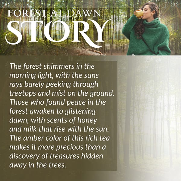 Forest at Dawn - Sylvan Black Tea - Image 5